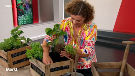 Urban Gardening