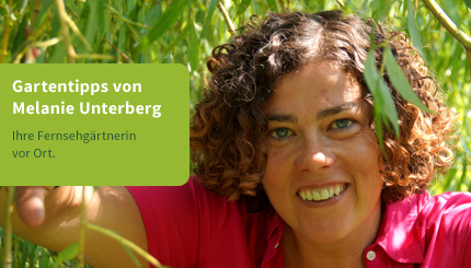 Fernsehgärtnerin Melanie Unterberg gibt Gartentipps