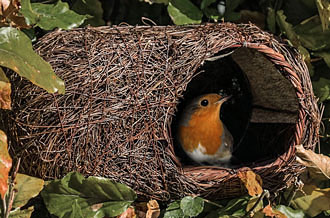 Vogelschutz im Winter: Nistkästen reinigen