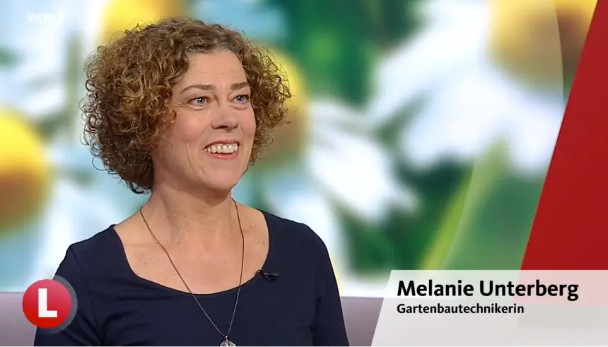 2025-08-20_wdr-lokalzeit Melanie Unterberg bei der WDR-Lokalzeit