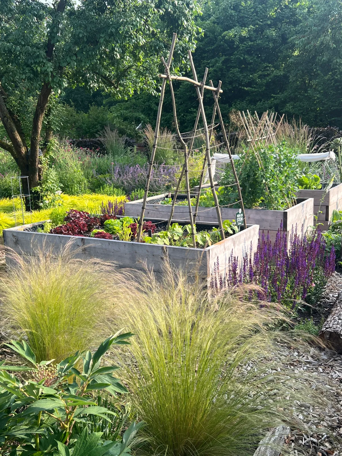 Ihr Cottage Garden von Garten Unterberg in Düsseldorf