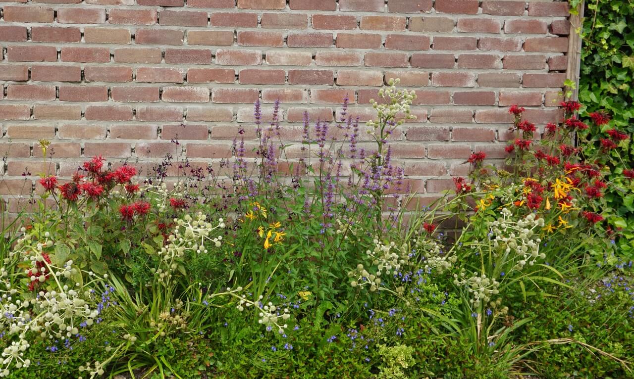 Drift-Pflanzung mit fließenden Staudenbändern: wiederkehrende Gruppen aus Stauden und Gräsern im naturnahen Gartenbild