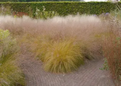 Naturnaher Garten, gestaltet von gARTen Melanie Unterberg