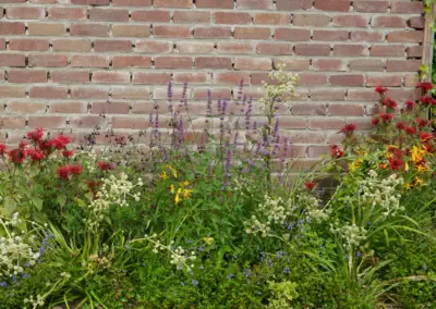 Naturnaher Garten mit Strukturpflanzen