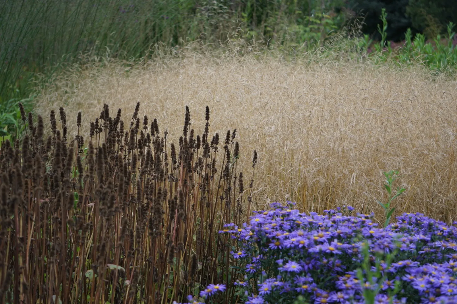 garten-unterberg-gartenkalender-oktober-2 Naturnahe Staudenpflanzung im Oktober mit Gräsern und Herbstfärbung