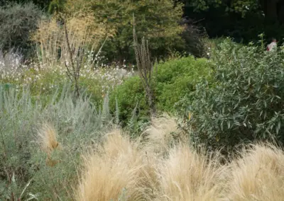 Englischer Garten in Düsseldorf und Umgebung